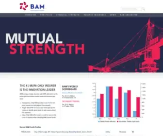 Buildamerica.com(Build America Mutual) Screenshot