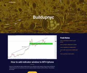 Buildupnyc.org(How to Add Renko Charts to MT4) Screenshot