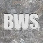 Buildwithstrength.com Logo