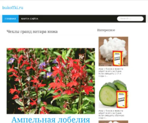Bukoffki.ru(Буковками) Screenshot
