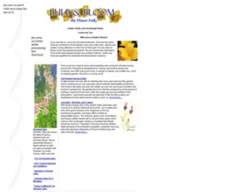 Bulbandbloom.com(Flower Bulbs) Screenshot