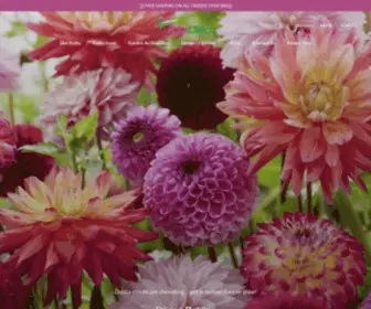 Bulbsdirect.co.nz(Bulbs Direct NZ) Screenshot