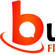 Bulicoso.com.br Favicon