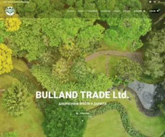 Bulland-LTD.com(Декоративни) Screenshot