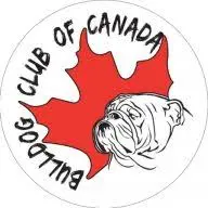 Bulldogclubofcanada.com Favicon