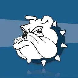 Bulldognetworking.com Favicon