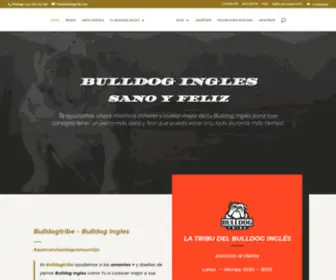 Bulldogtribe.com(Bulldog Ingles) Screenshot