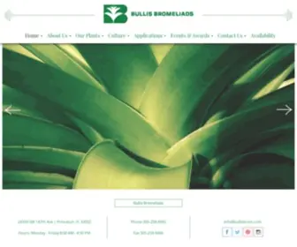 Bullisbrom.com(Wholesale Bromeliads) Screenshot