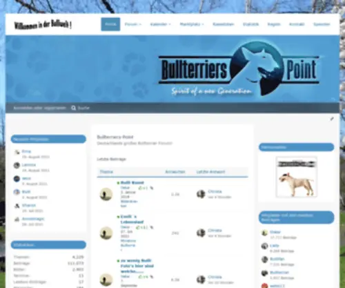 Bullterriers-Point.de(Bullterriers Point) Screenshot