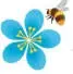 Bumblebeeconservation.org Logo