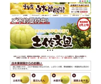 Buntan.com(南国高知の特産品果物・土佐文旦（とさぶんたん、トサブンタン）) Screenshot