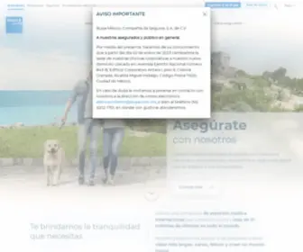 Bupa.com.mx(Bupa) Screenshot