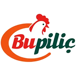 Bupilic.com Favicon