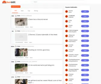 Burddit.com(New Discuss Platform for All) Screenshot