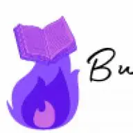 Burningbookpress.com Favicon