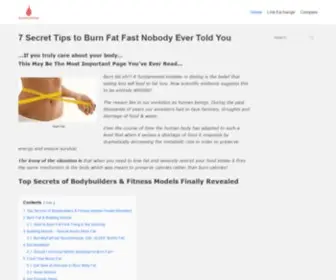 Burnmyfatfast.com(Pro Tips of How to Burn Fat Fast) Screenshot