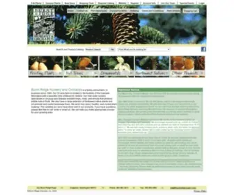 Burntridgenursery.com(Burnt ridge nursery and orchards) Screenshot