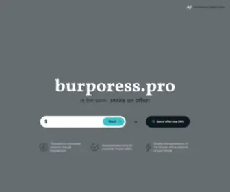 Burporess.pro Screenshot