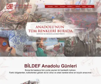 Bursaanadolugunleri.com(Bildef) Screenshot