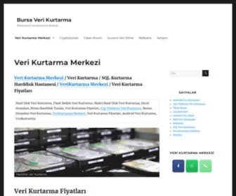 Bursaverikurtarma.com(Veri Kurtarma Merkezi) Screenshot