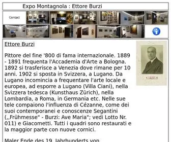 Burzi.ch(Burzi Ettore) Screenshot