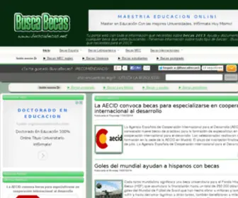 Buscabecas.net(Becas 2013) Screenshot