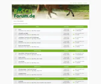 Busch-Forum.de(Übersicht) Screenshot