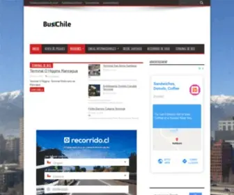 Buschile.com(Bus Chile) Screenshot