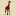 Bush-AND-Beyond.com Favicon