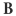 Bushirt.in Favicon