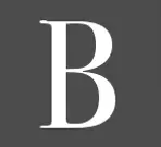 Business-Sanity.com Favicon