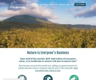 Businessfornature.org(Business for Nature) Screenshot