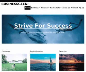 Businessgeeni.com(Businessgeeni) Screenshot