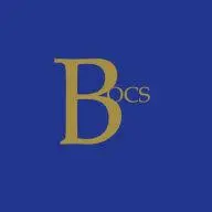Businessofcoachingschool.com Logo