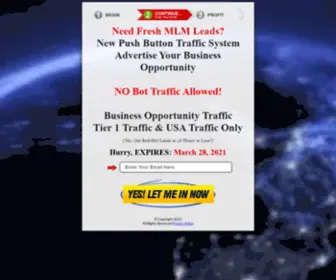 Businessopportunitytraffic.com(Business Opportunity Traffic) Screenshot