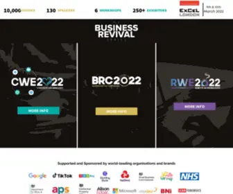 Businessrevivalseries.co.uk(The Business Revival Series) Screenshot