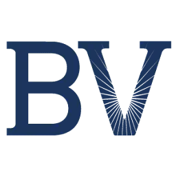 Businessvision.com.au Favicon