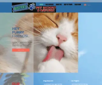 Busterspetresort.com(Buster's Pet Resort & Daycare) Screenshot