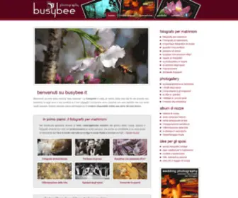 Busybee.it(Fotografo matrimoni e album nozze a Milano Lodi Pavia Como Monza) Screenshot