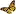 Butterfly-Diving.hr Favicon