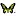 Butterfly-Insect.com Favicon