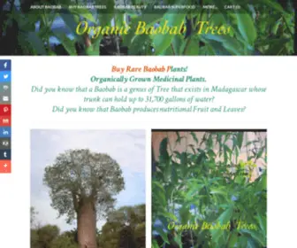 Buybaobabtrees.com(Baobab Tree for sale) Screenshot