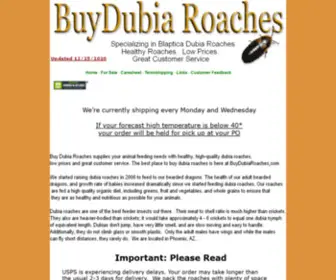 Buydubiaroaches.com(Dubia Roaches) Screenshot