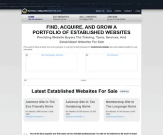 Buyingandsellingwebsites.com(How To Buy Websites) Screenshot