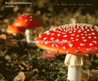 Buymagicmushroomsusa.com(Buy Magic Mushrooms From USA) Screenshot