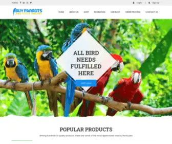 Buyparrotsandeggsonline.com(Buy Parrots for Sale Online) Screenshot