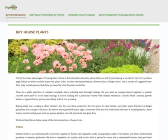 Buyplantsonline.net(Buyplantsonline) Screenshot