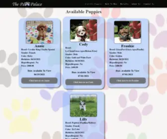 Buypuppiestucson.com(Buy Puppies in Tucson with The Paw Palace) Screenshot