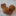 Buysoapnuts.com Favicon