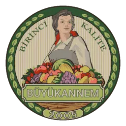 Buyukannem.com Favicon